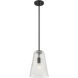Saben 1 Light 9.25 inch Matte Black Pendant Ceiling Light